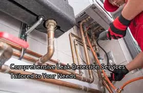 Comprehensive Leak Detection Services Tailored to Your Needs