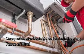Comprehensive Leak Detection Solutions for Peace of Mind