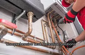 Comprehensive Leak Detection Solutions Comprehensive Leak Detection Solutions