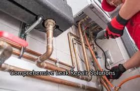 Comprehensive Leak Repair Solutions