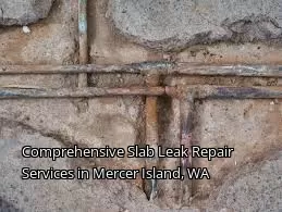Comprehensive Slab Leak Repair Services in Mercer Island, WA Comprehensive Slab Leak Repair Services in Mercer Island, WA