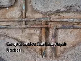 Comprehensive Slab Leak Repair Services