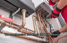 Comprehensive Solutions for Leak Repair
