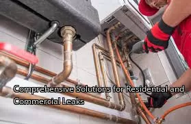 Comprehensive Solutions for Residential and Commercial Leaks