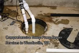 Comprehensive Sump Pump Repair Services in Woodinville, WA