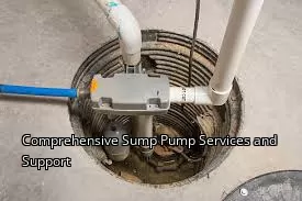Comprehensive Sump Pump Services and Support