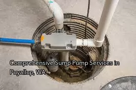 Comprehensive Sump Pump Services in Puyallup, WA