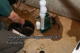 Comprehensive Support and 24/7 Availability