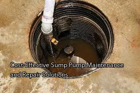Cost-Effective Sump Pump Maintenance and Repair Solutions