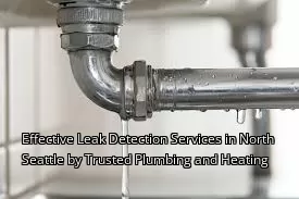 Effective Leak Detection Services in North Seattle by Trusted Plumbing and Heating