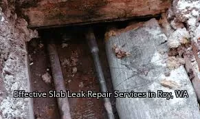 Effective Slab Leak Repair Services in Roy, WA Effective Slab Leak Repair Services in Roy, WA