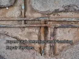 Expert Leak Detection and Plumbing Repair Services