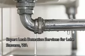 Expert Leak Detection Services for Lake Stevens, WA
