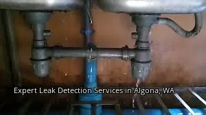 Expert Leak Detection Services in Algona, WA