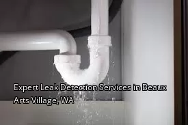 Expert Leak Detection Services in Beaux Arts Village, WA