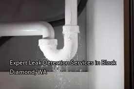 Expert Leak Detection Services in Black Diamond, WA