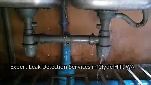Expert Leak Detection Services in Clyde Hill, WA