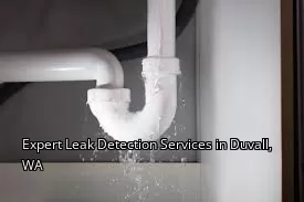 Expert Leak Detection Services in Duvall, WA