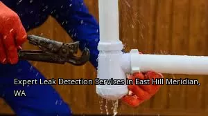 Expert Leak Detection Services in East Hill Meridian, WA