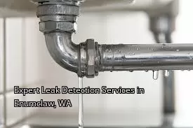 Expert Leak Detection Services in Enumclaw, WA