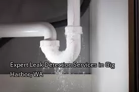 Expert Leak Detection Services in Gig Harbor, WA
