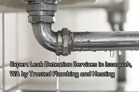 Expert Leak Detection Services in Issaquah, WA by Trusted Plumbing and Heating