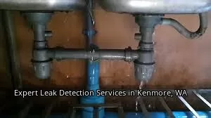Expert Leak Detection Services in Kenmore, WA