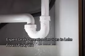 Expert Leak Detection Services in Lake Forest Park, WA
