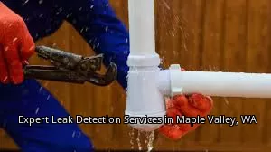 Expert Leak Detection Services in Maple Valley, WA