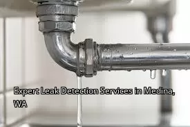 Expert Leak Detection Services in Medina, WA