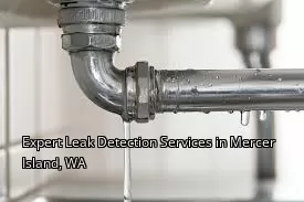 Expert Leak Detection Services in Mercer Island, WA