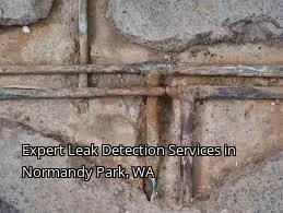 Expert Leak Detection Services in Normandy Park, WA