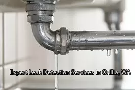 Expert Leak Detection Services in Orillia, WA