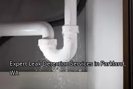 Expert Leak Detection Services in Parkland, WA