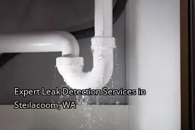 Expert Leak Detection Services in Steilacoom, WA