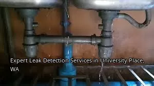 Expert Leak Detection Services in University Place, WA Expert Leak Detection Services in University Place, WA