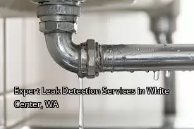 Expert Leak Detection Services in White Center, WA