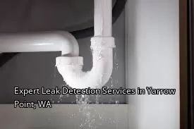 Expert Leak Detection Services in Yarrow Point, WA