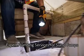 Expert Plumbing Services for Sump Pumps