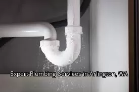 Expert Plumbing Services in Arlington, WA