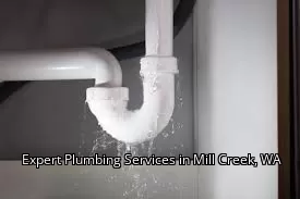 Expert Plumbing Services in Mill Creek, WA
