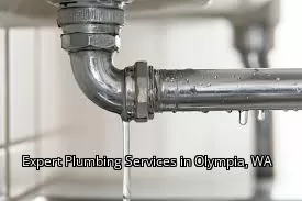 Expert Plumbing Services in Olympia, WA