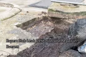 Expert Slab Leak Detection and Repair in Everett Expert Slab Leak Detection and Repair in Everett