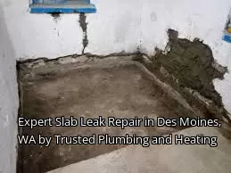 Expert Slab Leak Repair in Des Moines, WA by Trusted Plumbing and Heating