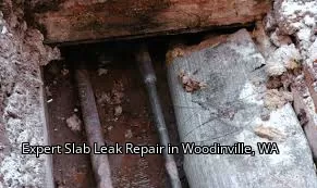 Expert Slab Leak Repair in Woodinville, WA