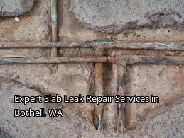 Expert Slab Leak Repair Services in Bothell, WA