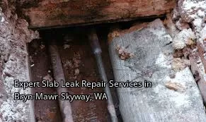 Expert Slab Leak Repair Services in Bryn-Mawr-Skyway, WA
