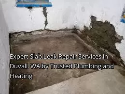 Expert Slab Leak Repair Services in Duvall, WA by Trusted Plumbing and Heating