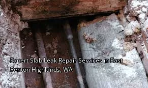 Expert Slab Leak Repair Services in East Renton Highlands, WA