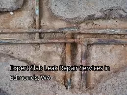 Expert Slab Leak Repair Services in Edmonds, WA Expert Slab Leak Repair Services in Edmonds, WA